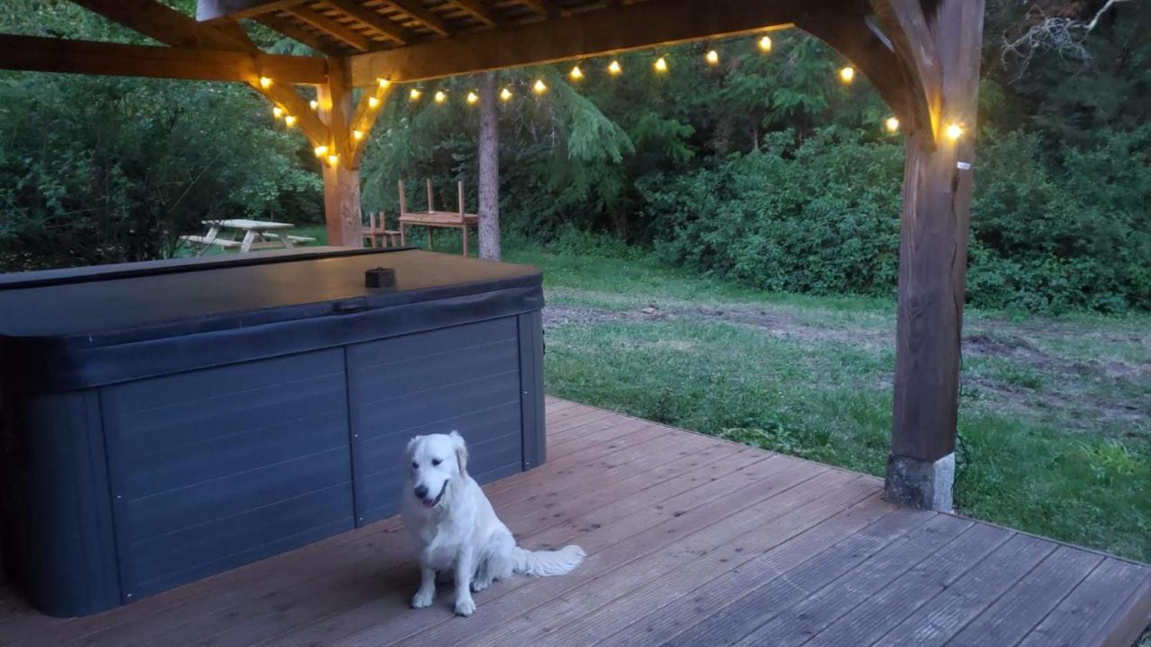 La Rossignolerie - La Familiale Vigneronne Bed & Breakfast Chouzy-sur-Cisse ภายนอก รูปภาพ