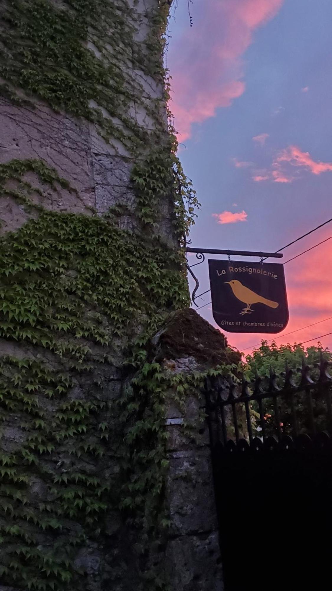 La Rossignolerie - La Familiale Vigneronne Bed & Breakfast Chouzy-sur-Cisse ภายนอก รูปภาพ