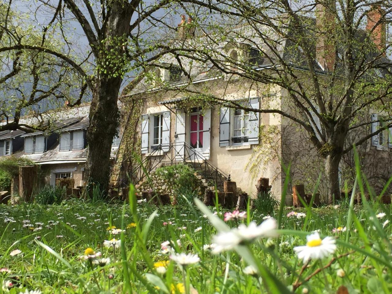 La Rossignolerie - La Familiale Vigneronne Bed & Breakfast Chouzy-sur-Cisse ภายนอก รูปภาพ
